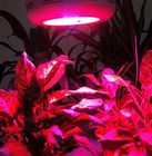 90W-GU Hydroponik &amp; Gartenbau &amp; Gewächshaus führte wachsen Lichter für Zimmerpflanzen