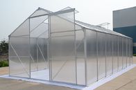 Aluminiumrahmen-Polycarbonats-Blatt-Hausgarten-Gewächshaus für Hydroponik-Tomate/Gemüse