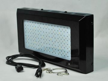 Hohe Intensitäts-rote und blaue LED-Anlage wachsen Ligh 3watt für Innengemüsegarten-Beleuchtung