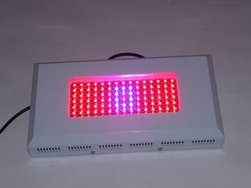 Hohe Leistung Wasserkultur-LED wachsen Lightst 1watt Wechselstrom 85 | 264V, Gewächshaus wachsen Lichter