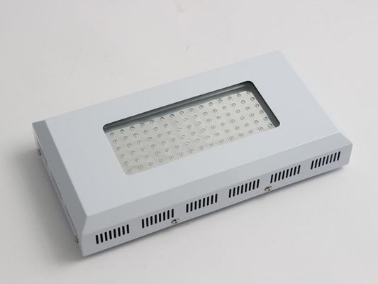 Hohe Anlage des Lichteffekt-LED wachsen helle 90w-, Blaue und Roteled-Lichter für das Wachsen