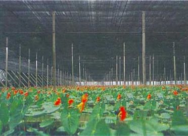 Landwirtschafts-Gewächshaus-Schatten-Filetarbeit, 2 x 100m, 30gsm - 300gsm