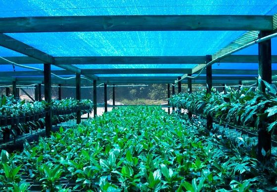 Gewächshaus-Schatten-Netz, landwirtschaftlicher Schatten-Stoff für Blumen-Bauernhof