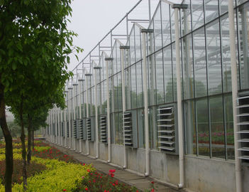 einzelnes Film-/Inflationsfilm-/Glas-Handels-Venlo-Gewächshaus, 9600mm Spanne