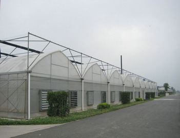 Plastikfilm-Handelsgewächshäuser 4000mm Abschnitts, 8000mm Spanne