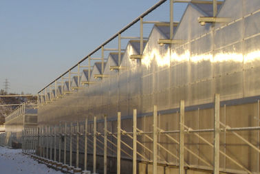 4000mm Abschnitt Handels-Venlo-Polycarbonatsgewächshaus 2/3 Kanten pro Spanne, 9600mm Spanne