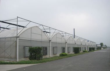 Handelsgewächshäuser der gotischen Art 8000mm Spanne mit Luftinflationsfilm, 3000mm Abschnitt