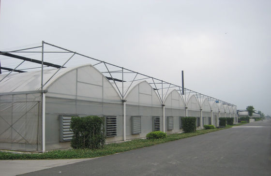 gotisches Artgewächshaus des 8000mm Spannenluftinflationsfilmes, 4000mm Abschnitt