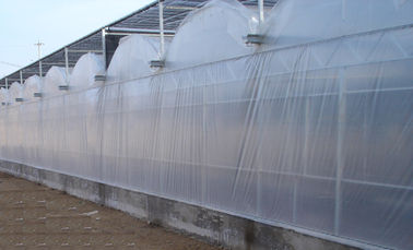 4000mm Abschnitt venlo Gewächshausluft-Inflationsfilm, 10800mm Spanne/3 Kanten pro Spanne