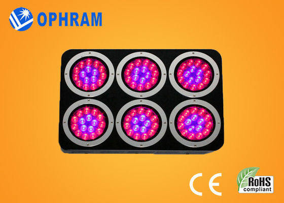 Volles Spektrum LED der hohen Leistung IP20 wachsen Lichter für Sämling/belaubtes