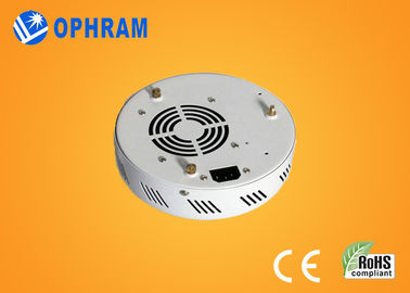 Volles Spektrum LED Epistar IP20 50W wachsen Lichter für Blumen AC85-265V