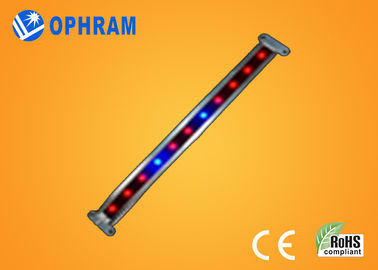 10W SMD 2835 Gemüse-/blühende LED wachsen Lichter mit Öffnungswinkel 180°