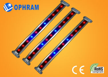 10W SMD 2835 Gemüse-/blühende LED wachsen Lichter mit Öffnungswinkel 180°