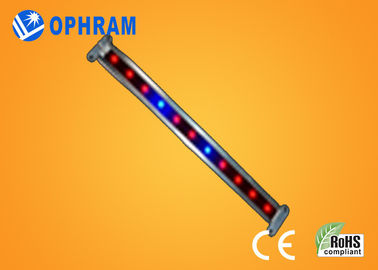 10W SMD 2835 Gemüse-/blühende LED wachsen Lichter mit Öffnungswinkel 180°