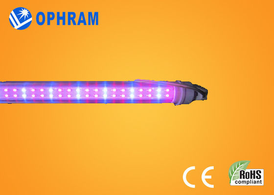 Tomaten-/Kopfsalat-/Marihuana-Innen der hohen Leistung IP20 geführt wachsen Lichter AC85V-265V