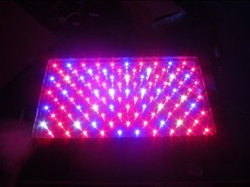 Gewächshaus LED der hohen Leistung 120W wachsen Licht